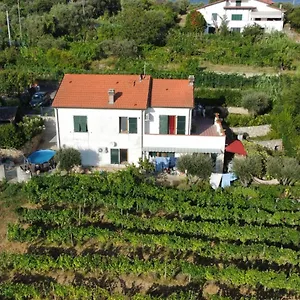 Panzió In Vino Veritas
