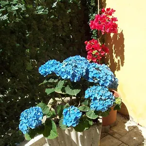 Guest house Le Divine - Reception Via Xxv Aprile 5